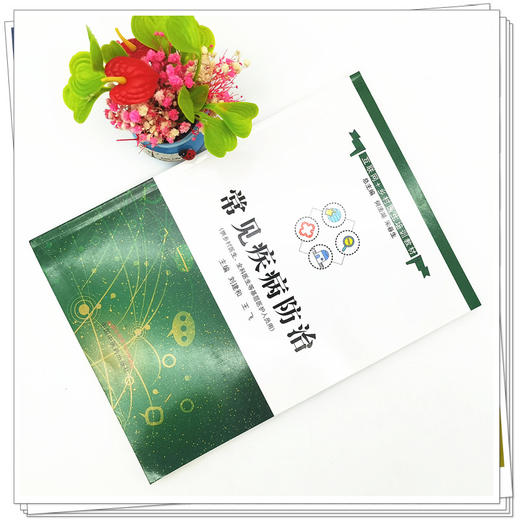 现货【出版社直销】常见疾病防治（互联网+乡村医生培训教材）刘建和 王飞 主编 中国中医药出版社 商品图2