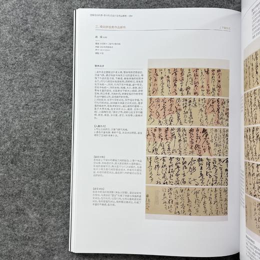 【草书形式设计及作品分析】国展培训内部资料 商品图4