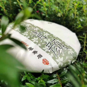 【觅青颜】2009年福鼎磻溪
春寿眉