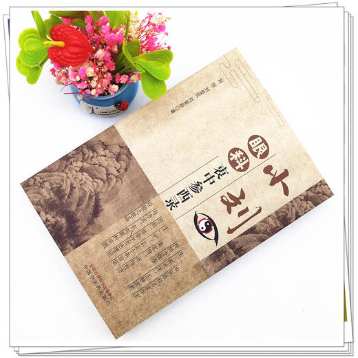 【出版社直销】小刘眼科衷中参西录 刘恒 刘爱民 刘爱新 著 中国中医药出版社 中医临床 书籍 商品图2