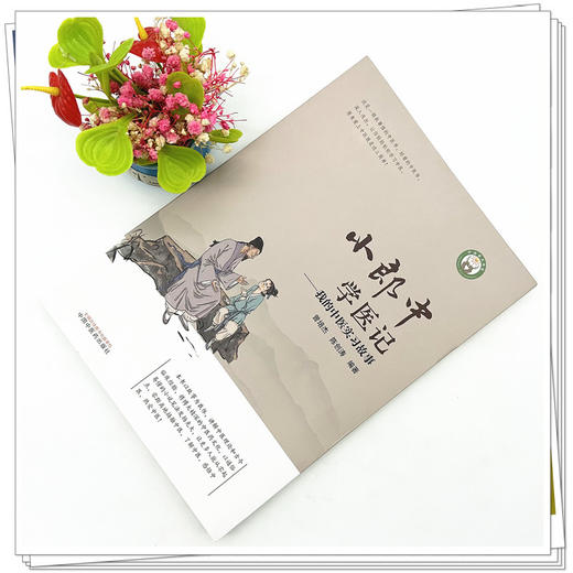 小郎中学医记我的中医实习故事 曾培杰 陈创涛 编著 中国中医药出版社 中医入门 文化 小儿科普 书籍 商品图2