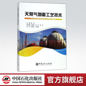 【旗舰店】天然气地面工艺技术 长庆石油勘察设计研究院  一线人员编写工程实际工艺技术与生产过程结合  中国石化出版社
