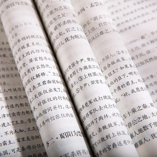 战国策 全二册 刘向 著 国学古籍 商品图2