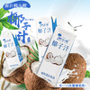 自营（泰利嘉）- 代餐椰子汁椰奶植物蛋白饮品风味饮料250ml*10瓶 商品缩略图0