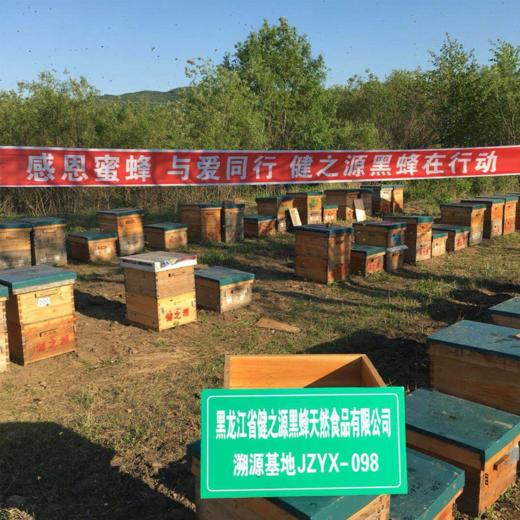 fx【贡蜜】黑蜂椴树原蜜蜂蜜 500g/罐 纯净 原生态 小兴安岭蜜源 商品图5