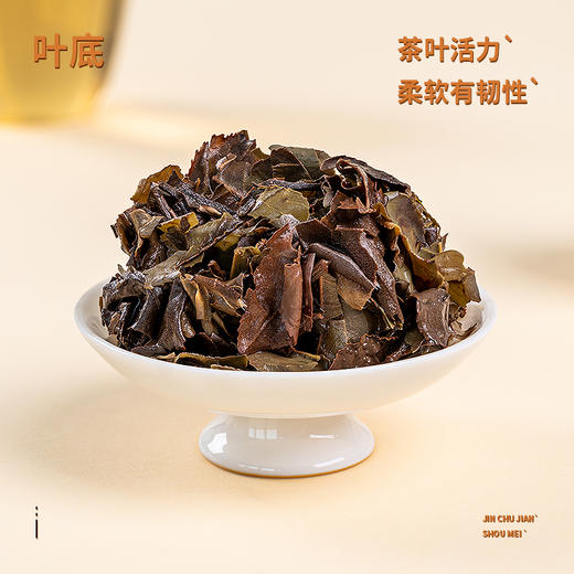 福鼎白茶2019年寿眉饼（金初见）300克/饼 商品图2
