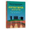 【旗舰店】天然气地下储气库：库存与产能  可用于研究生和本科生教学、研究、咨询和专家认证工作  中国石化出版社 商品缩略图2