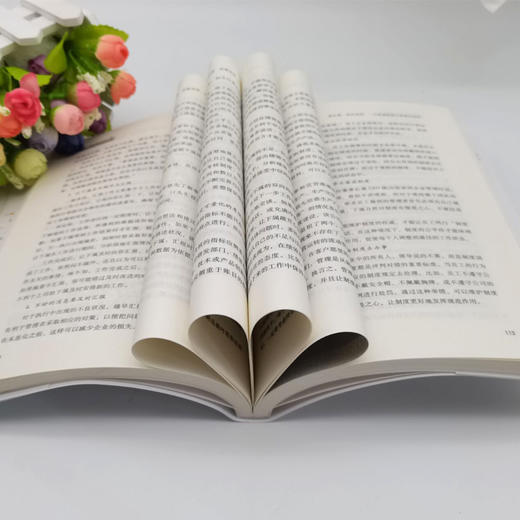 【官方旗舰店】做中层就要这样抓落实：制度、流程、标准落地全案  一本书吃透中层工作的重点和难点 中层案头常备高效管理手册 商品图2