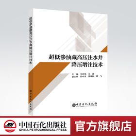 【旗舰店】超低渗油藏高压注水井降压增注技术 油气田  王宏伟 王萌 中国石化出版社 9787511461520
