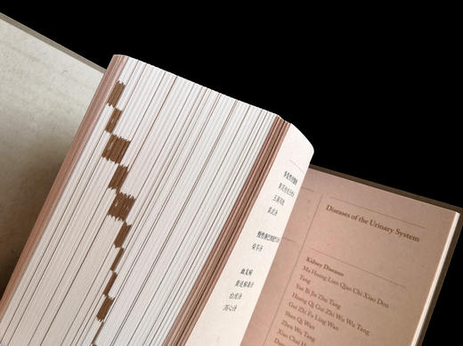 【出版社直销】黄煌经方使用手册（汉英）黄煌 主编 中国中医药出版社 中医临床 书籍 商品图4