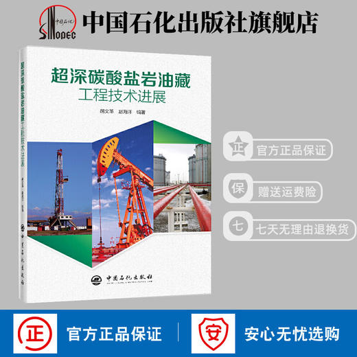 【旗舰店】超深碳酸盐岩油藏工程技术进展 石油化工油藏采油钻井工程完井测试工程储层改造 地面防腐工程 中国石化出版社 商品图1