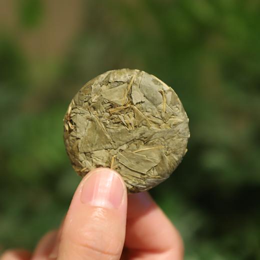 【葛洪丹茶】柳叶蜡梅代用茶 商品图4