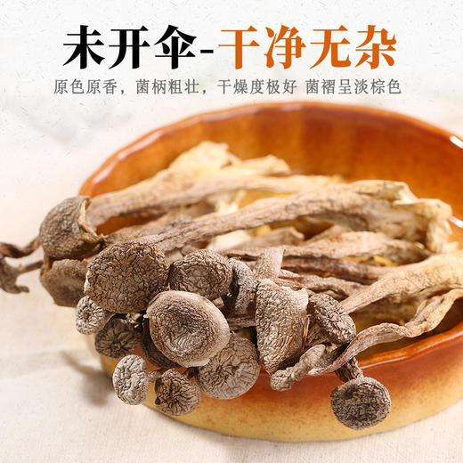 云南特色山珍 | 云南鹿茸菇干货 鹿茸菌蘑菇香菇类 炒菜/干锅/煲汤食材 250g/500g 商品图4