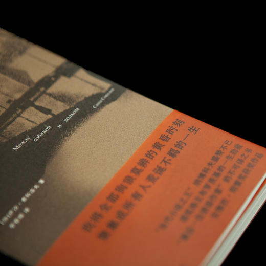 狗狼之间 尺寸 商品图3