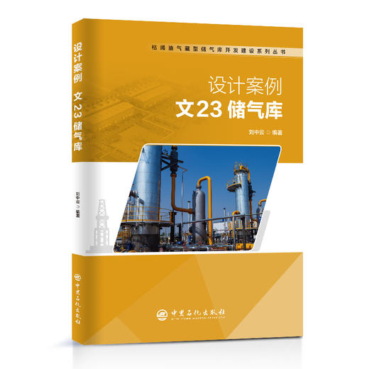 【旗舰店】设计案例：文23储气库 储气库建设开发文23储气库的开发建设知识设计思路及规模流程图及平面布置主要设备技术规格书 商品图1