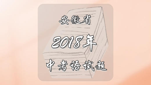 2018年安徽省中考语文试题 商品图0