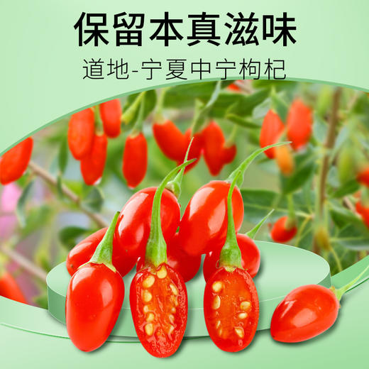 【正宗同仁堂品牌】北京同仁堂 枸杞子200g 宁夏甲级枸杞SY 商品图2