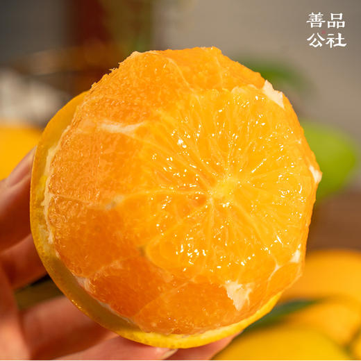 【善品公社】湖北秭归夏橙  2025新鲜上市 酸甜口味  细嫩多汁 清新爽口 | 屈原故里 脐橙之乡 商品图3