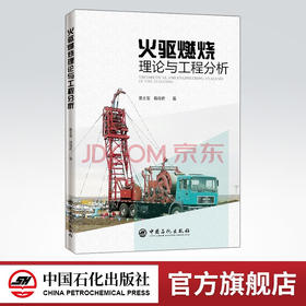 【旗舰店】火驱燃烧理论与工程分析  提高采收率、火驱、工程、三采  可供石油工程从业者参考阅读  中国石化出版社