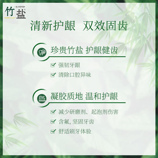 竹盐派缤牙膏285G【CZ】 商品图2