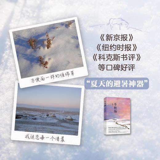 冬牧场 全新修订新增20余幅李娟摄影 经典纪实散文 花城出版社正版书籍 商品图3