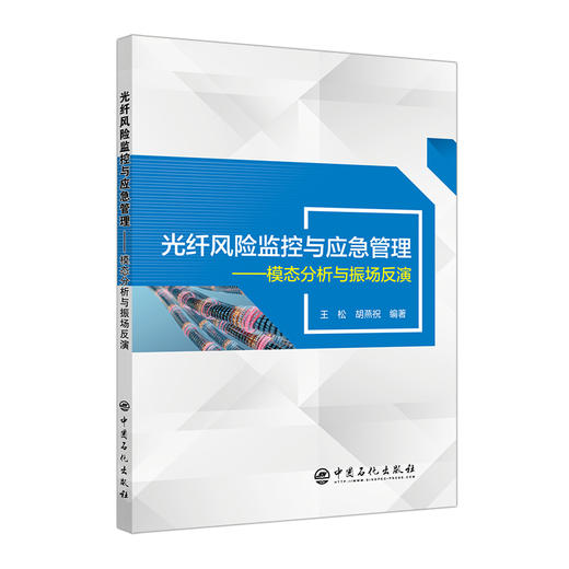 【旗舰店】光纤风险监控与应急管理：模态分析与振场反演  信号表达 信号采集 信号存储 光纤传感技术 风险管理 突发事件 安全管理 商品图1
