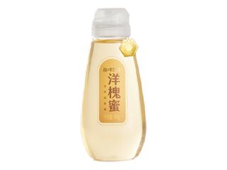 正大每味哲学金奖洋槐蜜400g 商品图0