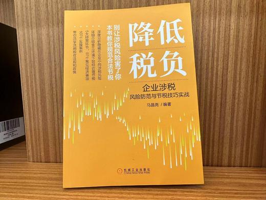 降低税负：企业涉税风险防范与节税技巧实战 商品图2