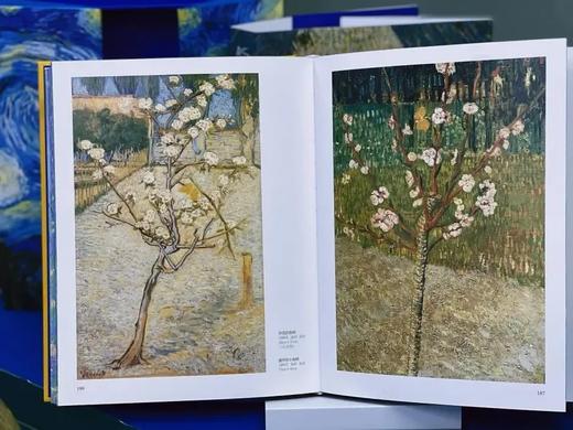 《凡·高守望星空》礼盒典藏纪念版 附赠礼盒+帆布袋+手账本+藏书票 商品图6