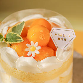 3英寸蜜瓜小丸子