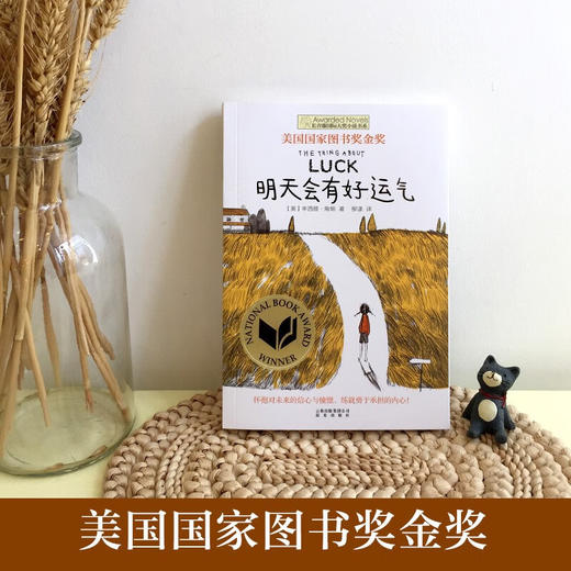 长青藤国际大奖小说书系 第四辑 明天会有好运气 7-10岁 角畑 著 儿童文学 商品图1