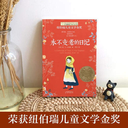 长青藤国际大奖小说书系 第四辑 永不变老的日记 10-14岁 布洛斯 著 儿童文学 商品图1