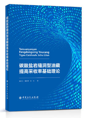 【旗舰店】碳酸盐岩缝洞型油藏提高采收率基础理论  储集层 油气勘探  油气藏  油气藏开发与提高采收率人员  中国石化出版社