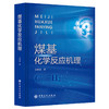煤基化学反应机理   中国石化出版社 商品缩略图0