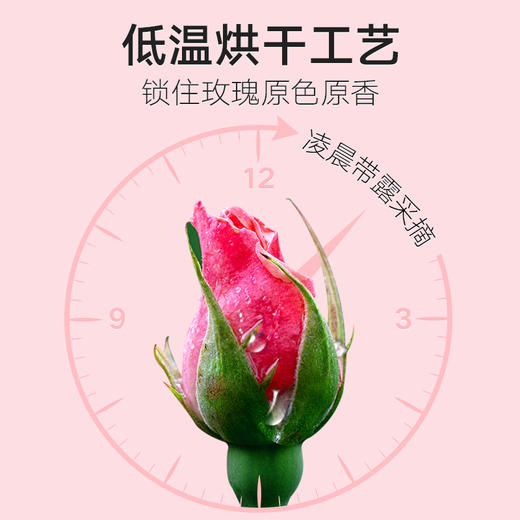 北京同仁堂玫瑰花茶罐装60g玫瑰花干玫瑰茶甘肃玫瑰花 SY 商品图4