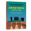 【旗舰店】天然气地下储气库：库存与产能  可用于研究生和本科生教学、研究、咨询和专家认证工作  中国石化出版社 商品缩略图3