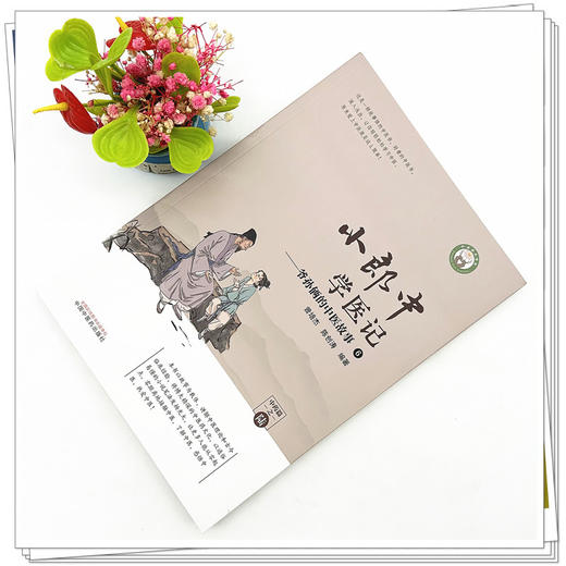 小郎中学医记-爷孙俩的中医故事6 曾培杰 陈创涛 编著 中国中医药出版社 中医文化 小儿科普 书籍 商品图2