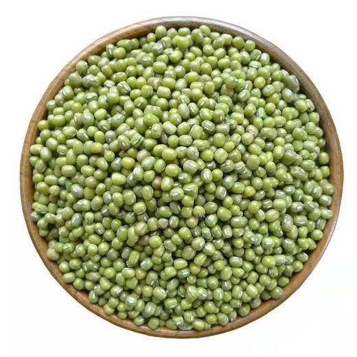 湖北秭归绿豆480g袋装 杂粮干货 商品图4