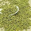 湖北秭归绿豆480g袋装 杂粮干货 商品缩略图1