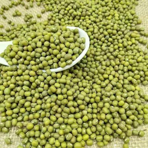 湖北秭归绿豆480g袋装 杂粮干货 商品图1