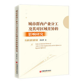 城市群内产业分工及其对区域差异的影响研究  中国经济出版社