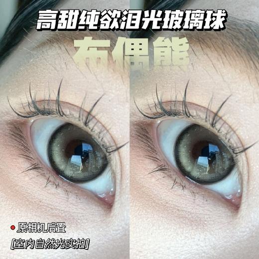 Deerbell年抛|布偶熊 14.2mm 商品图0