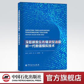 【旗舰店】深层碳酸盐岩缝洞型油藏新一代数值模拟技术 地质学 油气勘探 碳酸盐 建模 数模