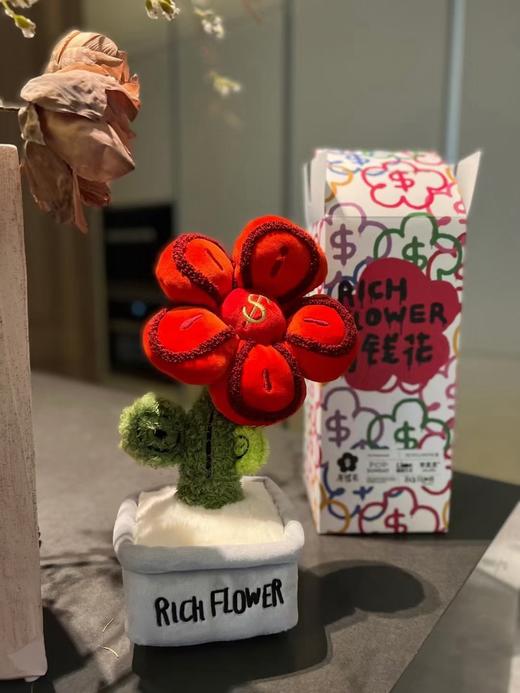 有钱花-布绒公仔「德邦/顺丰到付」 商品图3