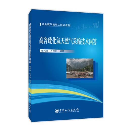 【旗舰店】高含硫化氢天然气采输技术问答   9787511458926 商品图2