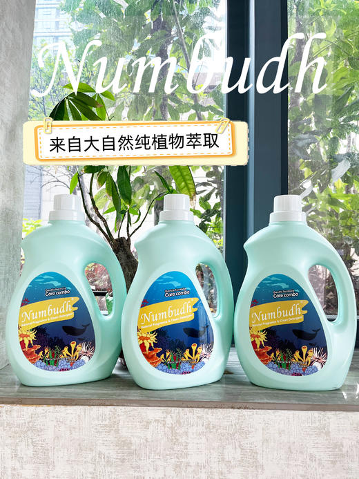 【南堡自然花香洗衣液】买一次用半年❗️ 商品图0