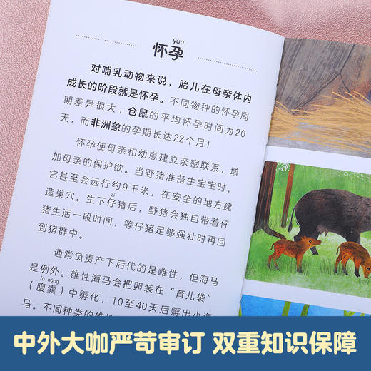 乐乐趣-科学自己读（10册）套装 商品图4