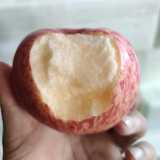 烟台红富士中大果4.5斤（10-12果）果径（75-80）左右新鲜水果苹果富士苹果 商品图3