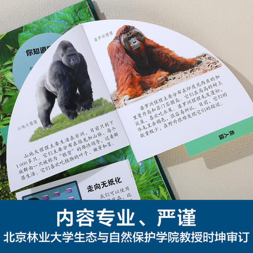 乐乐趣科普立体书 濒危动物立体书 商品图5