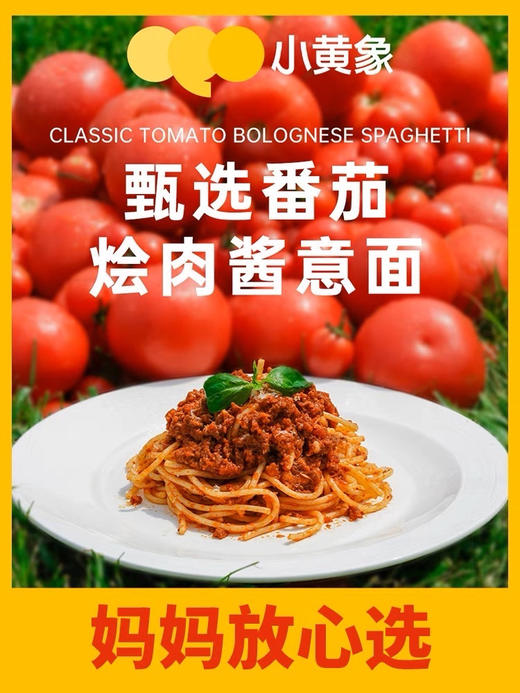 小黄象番茄意面！160克超大酱包，猪后腿肉，肉汁浓郁酱汁味香，甄选新疆天山番茄（150天挂果）非转基因还原小时候的番茄味！经典意面硬度，还原正宗意面口感(非软面)一组六袋 商品图2